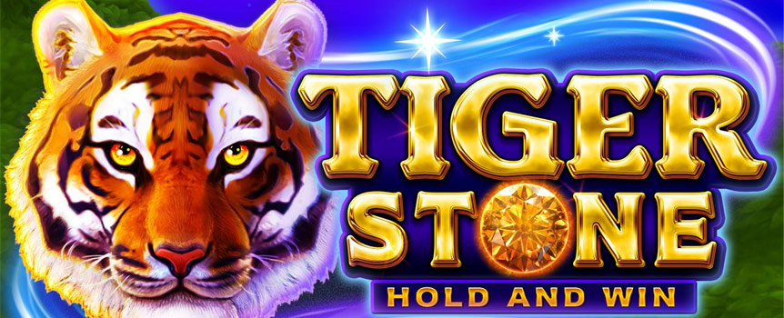 
For an exhilarating adventure like no other, take a trip through the magnificent Indian jungle with Tiger Stone: Hold and Win! An expedition such as this may seem daunting at first, but don’t worry, as you will be accompanied by the a beautiful, lucky and knowledgeable Tiger on your travels as you search for hidden treasures.


